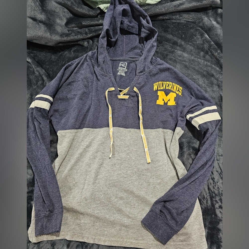 Pro Edge Charcoal Hoodie Michigan